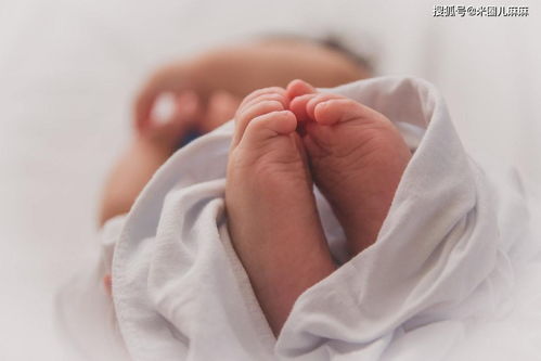 气血不足怎么补