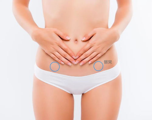 清肠排毒怎么做？3天轻断食肠道大扫除