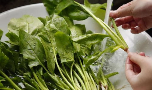 生物钟乱了怎么调？3天倒时差方法