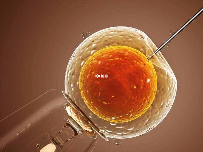 人工受孕好还是试管婴儿好