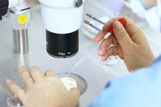 人工授精与试管婴儿