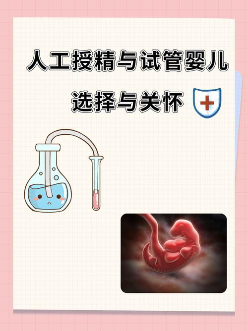 人工授精与试管婴儿