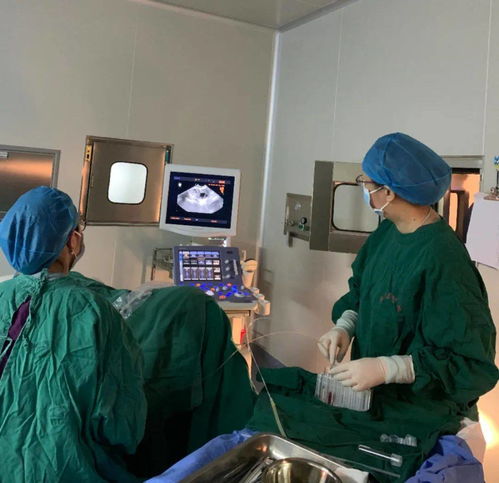 人工受孕和试管婴儿哪个好？卵泡多大取卵