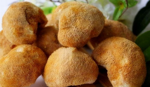 健脾养胃食材每天吃一点脾胃越来越好