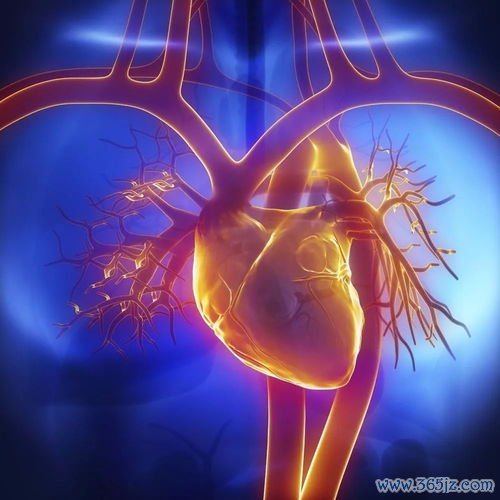 动脉硬化：血管里长斑块，能逆转吗？