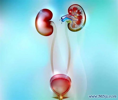 凝血功能：查凝血四项，看会不会出血