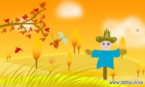 秋分平补吃什么