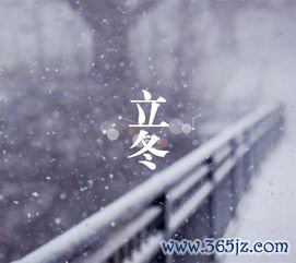 立冬,补肾,什么