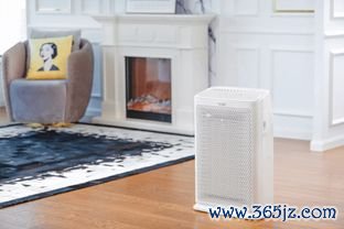 空气,净化器,有用