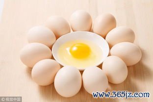 红皮鸡蛋和白皮鸡蛋哪个好？原来我们都想多了