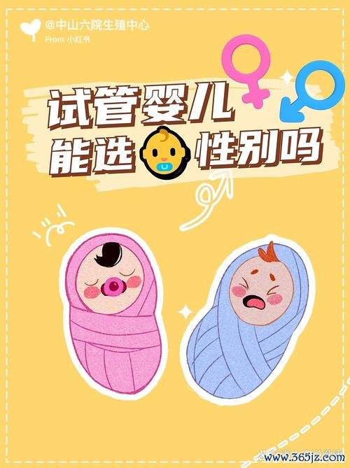 什么情况下需要做试管婴儿