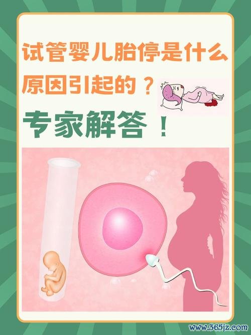 什么情况要做试管婴儿