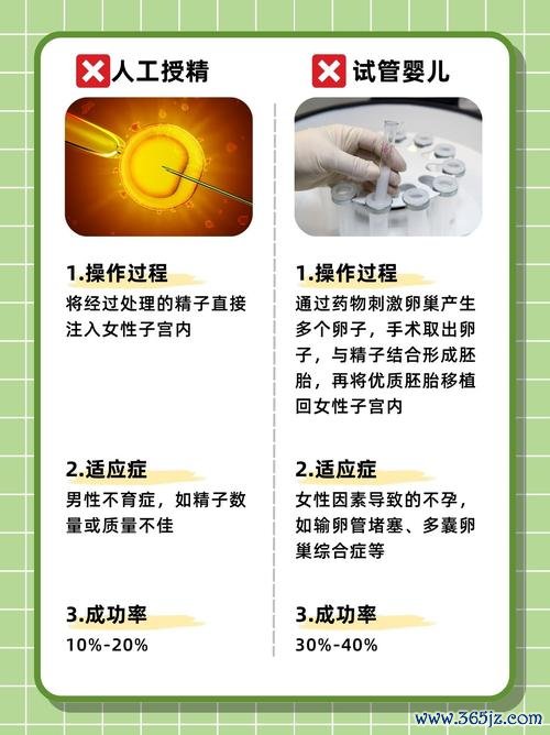 什么情况下需要试管婴儿