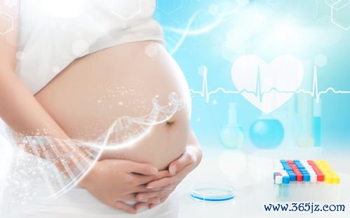 什么是三代试管婴儿