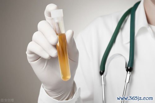 阳虚,怕冷,腰酸,怎么,调理