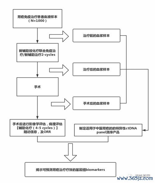 临床路径规范化，诊疗方案疗效佳