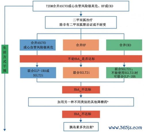 临床,路径,规范化,诊疗,方案