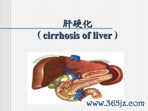 病患者,怎么,养肝,饮食,禁忌