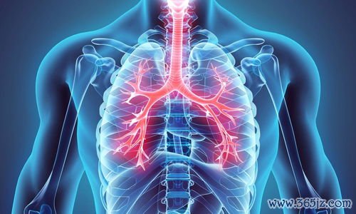 胆囊息肉,怎么办,要不要