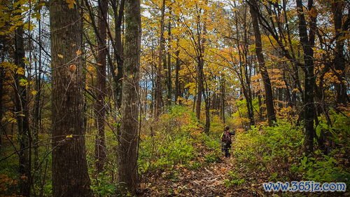 胃不好怎么养？三分治七分养