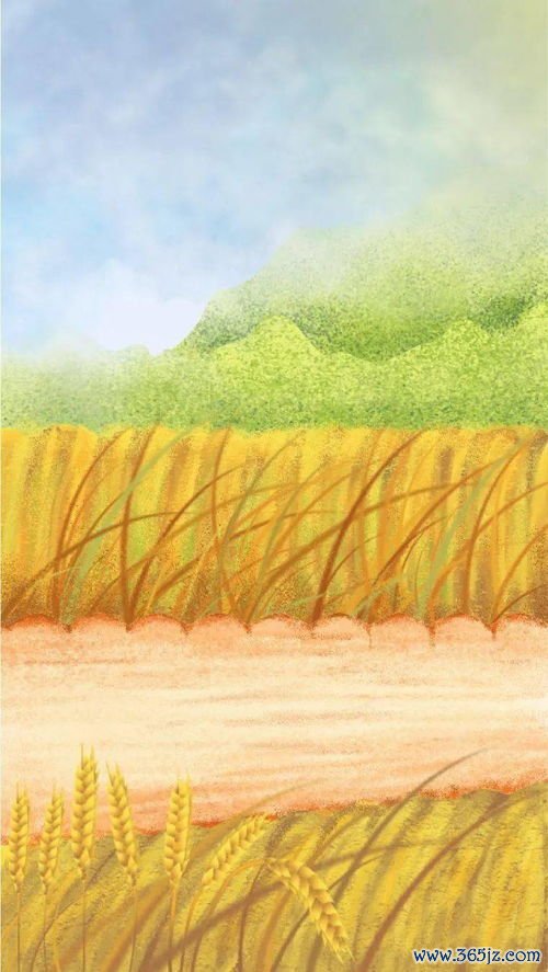 芒种养生喝什么