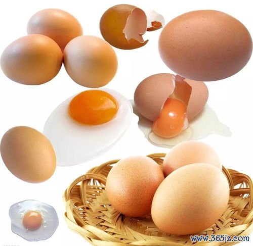 蛋黄到底能不能吃？多年的疑问终于解开