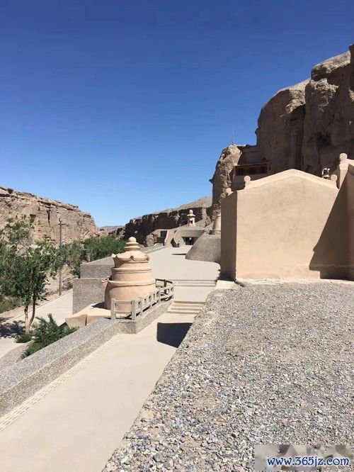 血糖,高吃,什么,这份,食谱