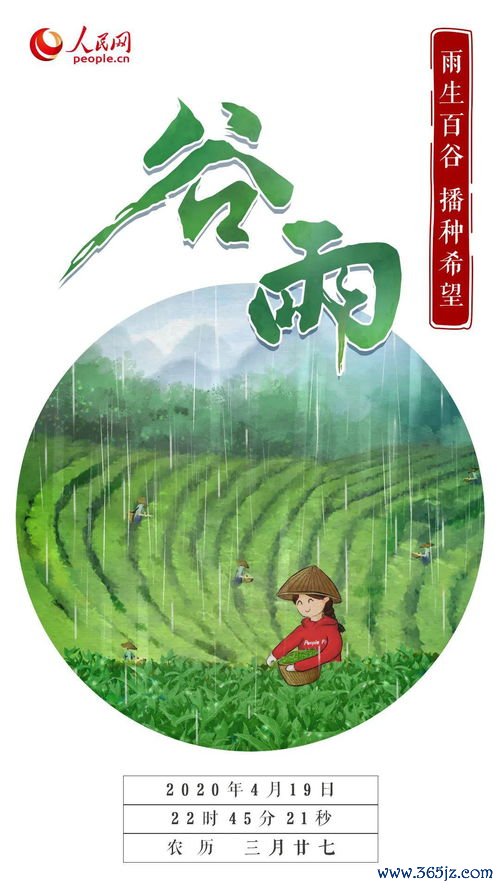 谷雨,祛湿,什么