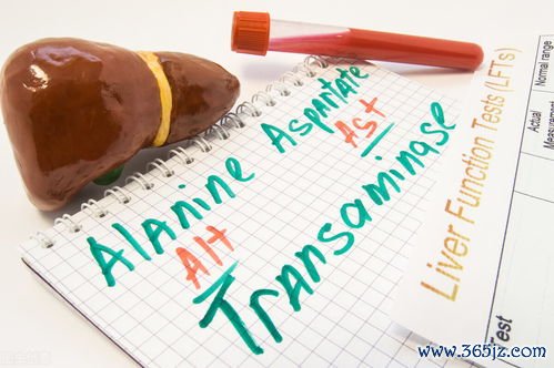 转氨酶升高是肝出问题了吗