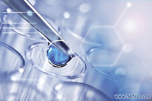 供卵试管婴儿多少钱