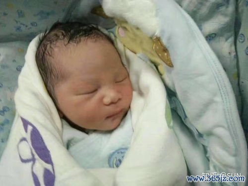 供卵试管婴儿多少钱