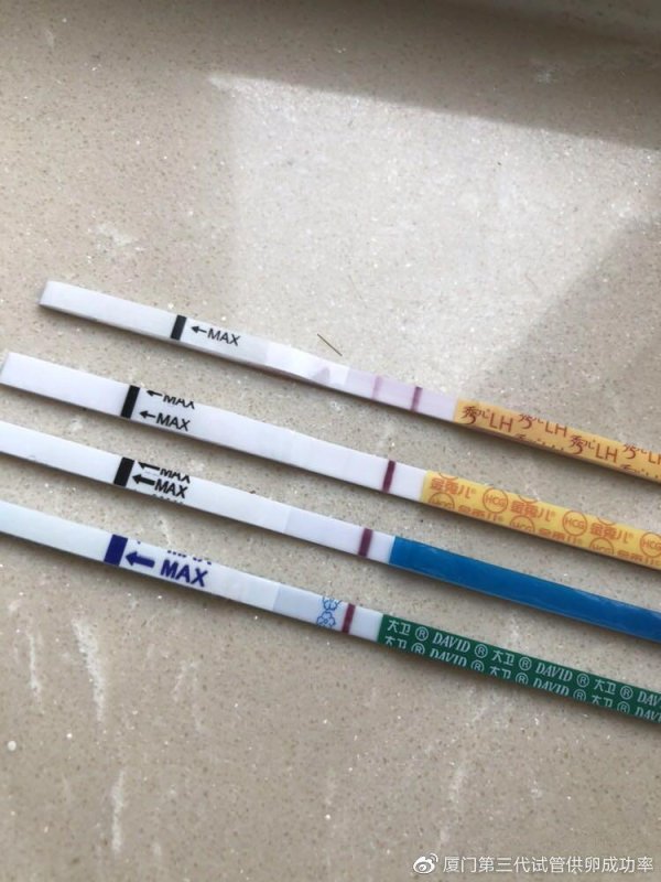 供卵,试管婴儿,少钱