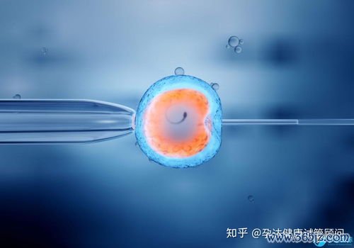 供精试管婴儿医院