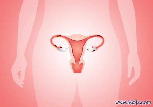 卵巢功能抑制打戈舍瑞林多久一次副作用大吗