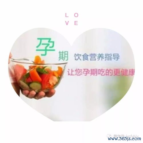 营养,早期,怀孕,哪些,关键