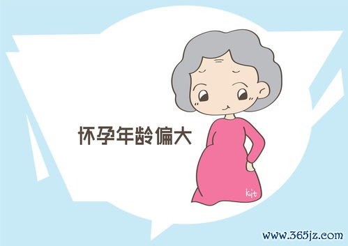 孕早期营养：刚怀孕，哪些营养最关键？