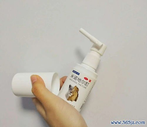 侧柏,叶生发,生发,叶酊