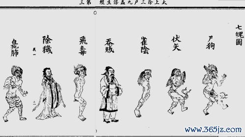 体质辨识九种分，阴阳气血虚实辨