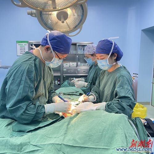 整形,手术,类型,私密,种类