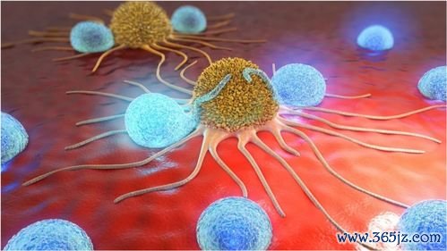 化疗：用药物杀死癌细胞