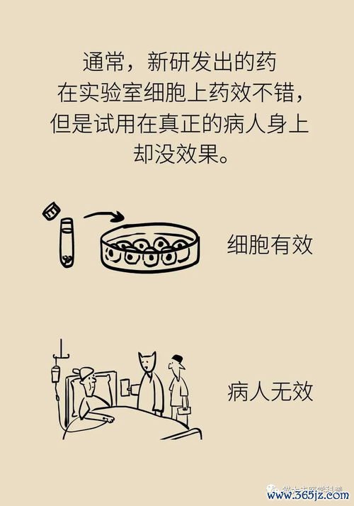 化疗：用药物杀死癌细胞