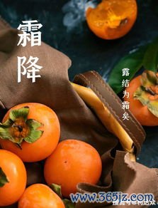 霜降防寒吃什么