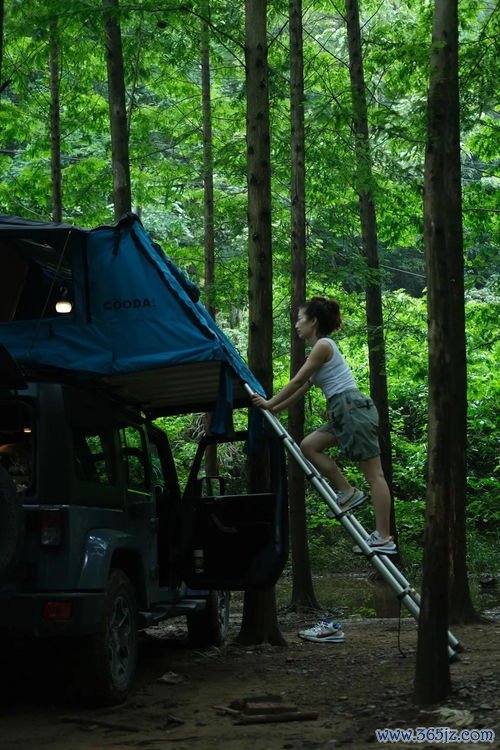 露营过夜注意事项