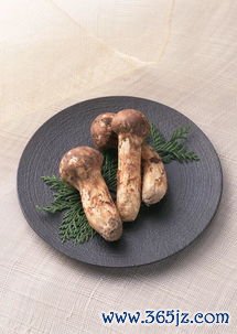 鸡肉鸭肉鹅肉哪个更营养？减肥的人看过来