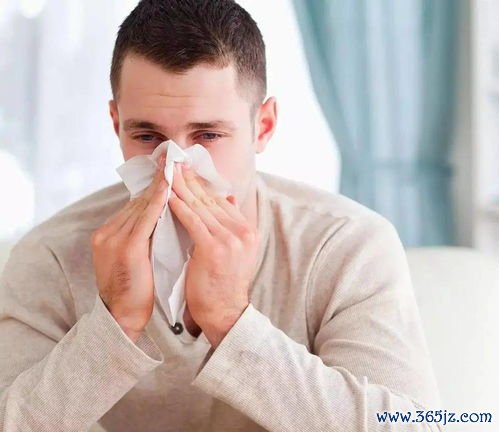 鼻炎又犯了打喷嚏流鼻涕止不住怎么办