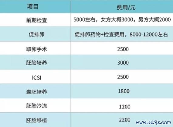 做一个试管婴儿多少钱啊