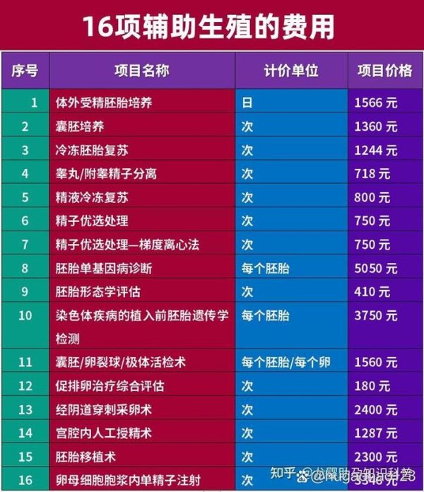 一个,试管婴儿,费用