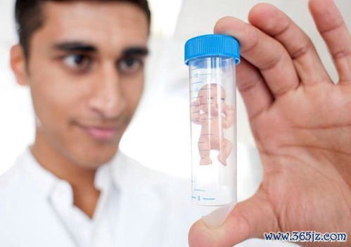 做一个试管婴儿费用