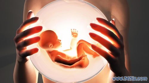 单角子宫怀孕注意什么容易流产早产吗怎么保胎