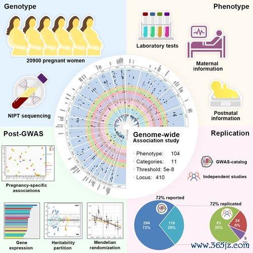 妊娠期糖尿病食谱：整个孕期血糖控制攻略